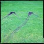 Reifenspur auf Gras, die wie ein M aussieht.
