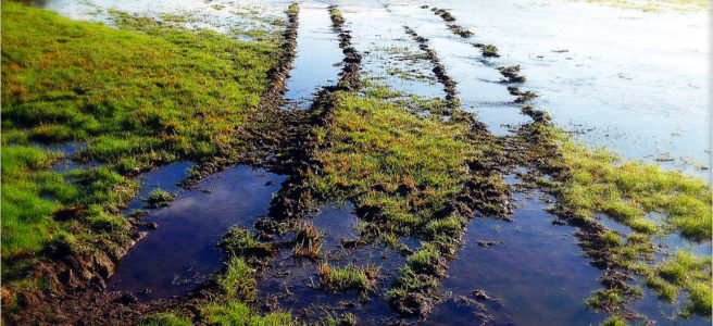 Eine breite Spur eines Traktors führt geschwungen durch eine überflutete Wiese. Im Wasser spiegelt sich blau der Himmel und mischt sich mit den grünen Grasflecken.