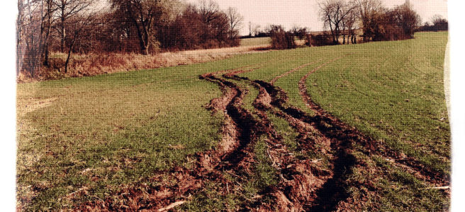 Tiefe Schlammspur auf junggrünem Acker weicht kurvig aus einer weniger Tiefen Spur nach links aus. Im Hintergrund ein Windrad.