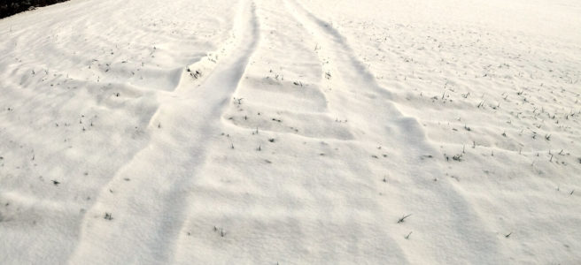 Schnurgerade Spur eines Fahrzeugs auf einem verschneiten Feld. Durch die Weitwinkelaufnahme wirkt der Horizont etwas gekrümmt.